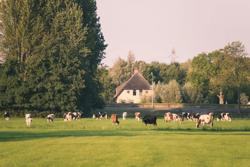 Noodstroom boerderij Overijssel: eisen, kosten & tips