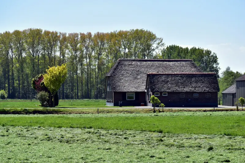 Noodstroom paardenhouderij Overijssel: eisen & kosten
