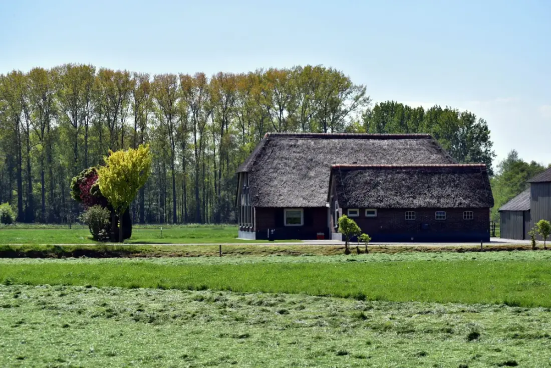 Noodstroom paardenhouderij Overijssel: eisen & kosten