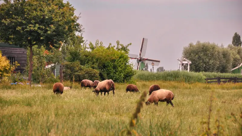 Noodstroom zorgboerderij Overijssel: eisen & kosten